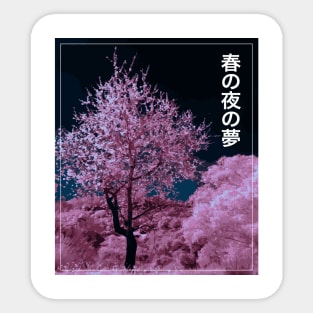 A Spring Night's Dream, Sakura Cherry Blossom Sticker